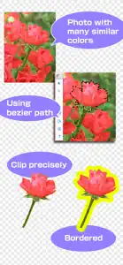 Bezier Image Clipper screenshot #2 for iPhone