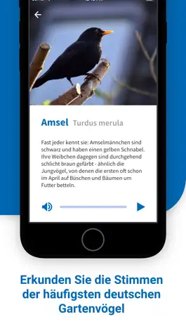 Game screenshot 40Gartenvögel apk