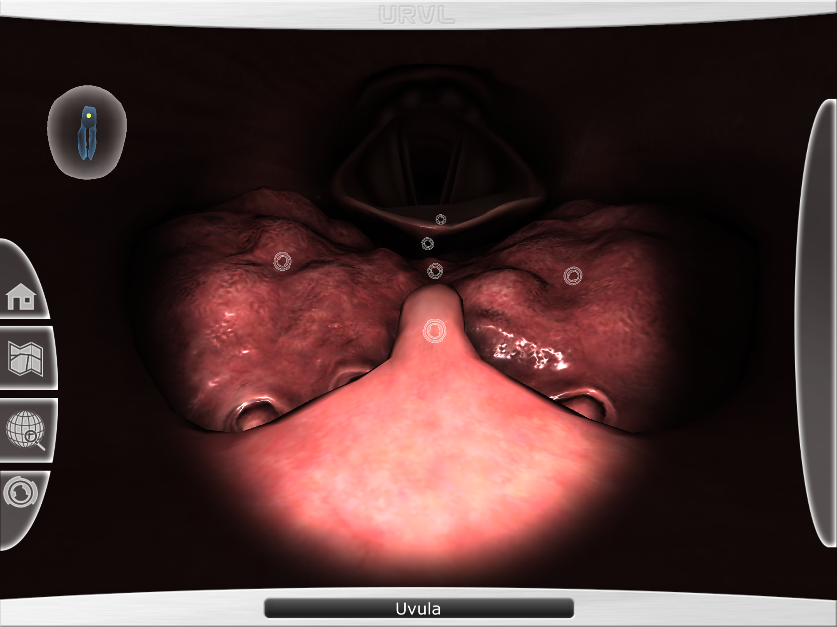 Upper Respiratory Virtual Lab screenshot 4