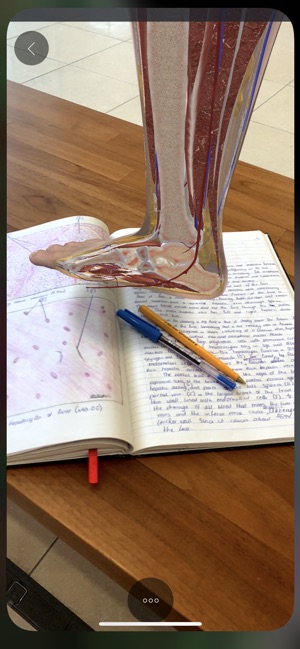 Complete Anatomy 19 for iPhone(圖6)-速報App