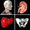 Anatomy Quiz+ apk