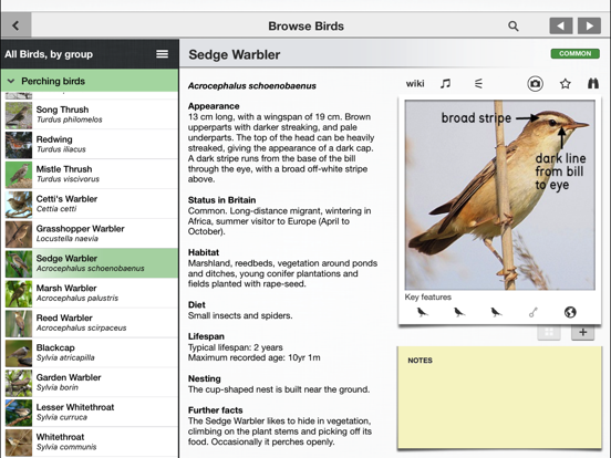 Birds of Britain Pocket Guide iPad screenshot 7 - Reference app