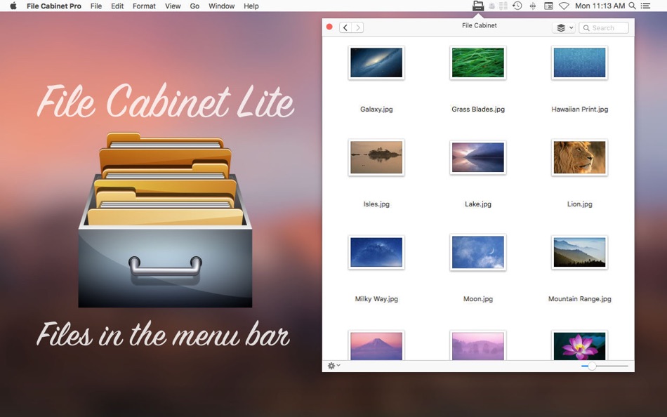 #1. File Cabinet Lite (macOS) 由: App Tyrant Corp