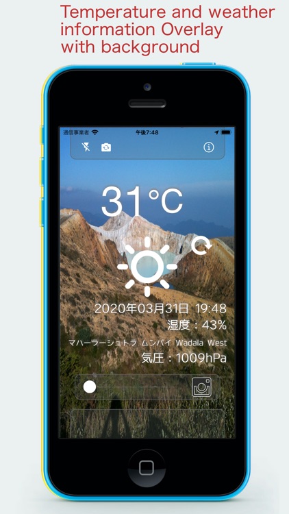 Transparent Thermometer