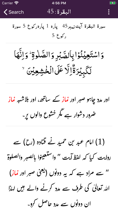 Screenshot #3 pour Tafseer Dur e Mansoor | Quran