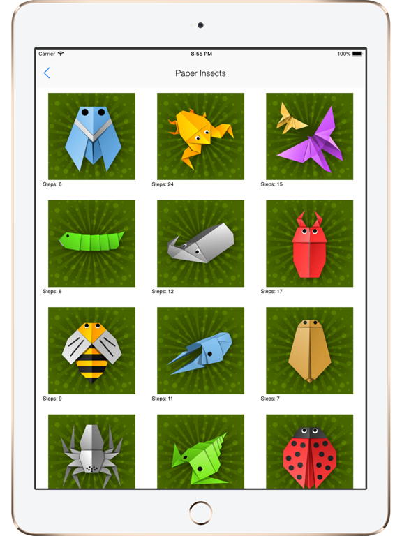 Origami Creator: Fold & Learn iPad screenshot 5 - Graphics & Design app
