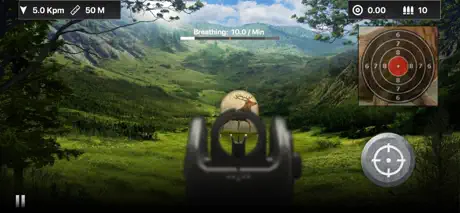 Deer Target Shooting