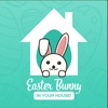 Easter Bunny in Your House