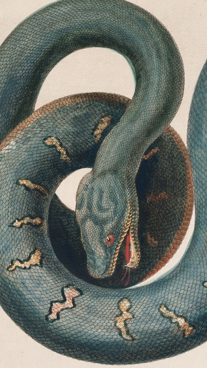 SC Museo Ciencias Naturales