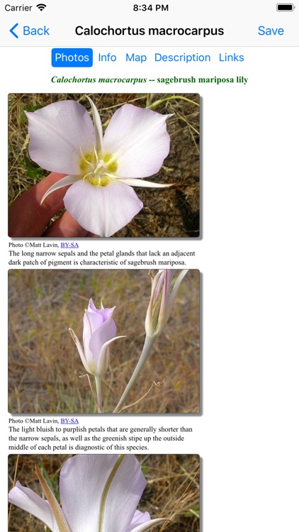 Washington Wildflower Search screenshot-4