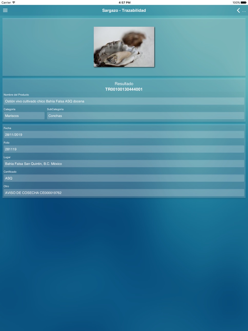 iPad screenshot