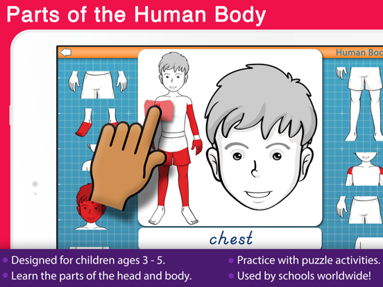 Screenshot #4 pour Human Body -Montessori Anatomy