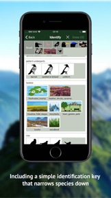 All birds CH - photo guide screenshot