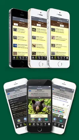 Game screenshot Texas Mammals hack
