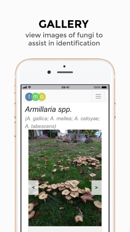 TMA Fungi screenshot-4