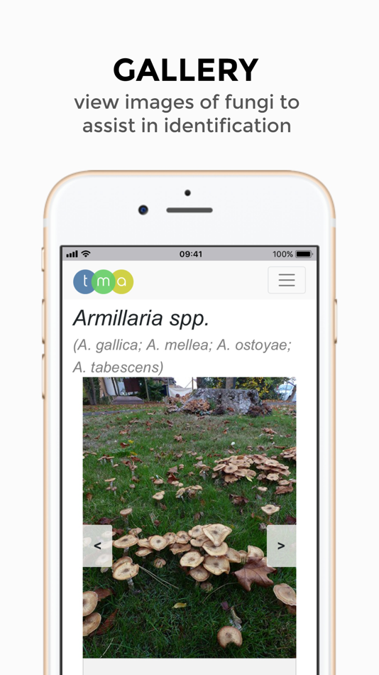#5. TMA Fungi (iOS) Podle: Tim Moya Associates