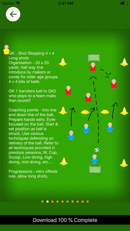 Goal Keeping Coaching Sessions screenshot-3