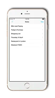 save notes - secure your data iphone screenshot 2