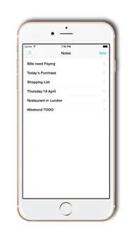 Save Notes - secure your data iphone bilder 1