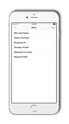 Save Notes - secure your data iPhone image 2