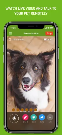 Dog Monitor: Screenshot 4 von 5