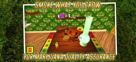 Weed Shop The Game