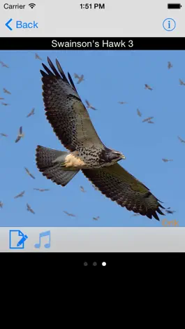 Game screenshot Panama Birds Field Guide apk