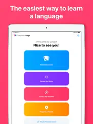 itranslate lingo ipad images 1