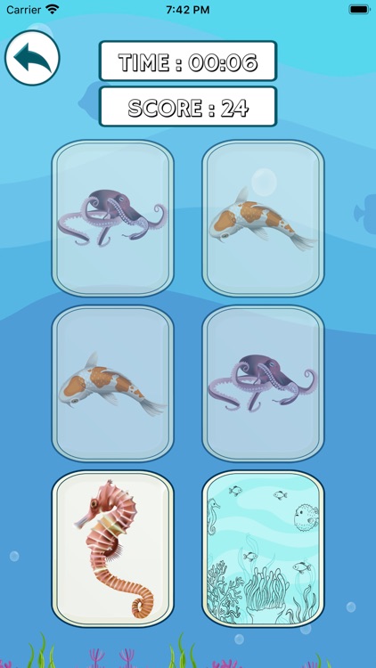 Memory Matches Brain Game