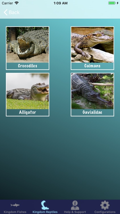 Life Underwater screenshot-8