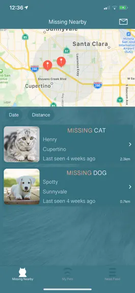 Game screenshot Missing Pet Finder apk