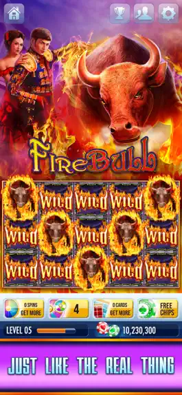 Game screenshot Gray Wolf Peak Casino Slots hack