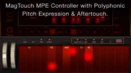 How to cancel & delete magellan synthesizer 2 3