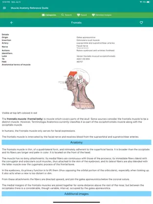 Screenshot 4 Muscle Anatomy Reference Guide iphone