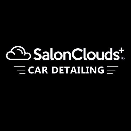 Car Detailing icon