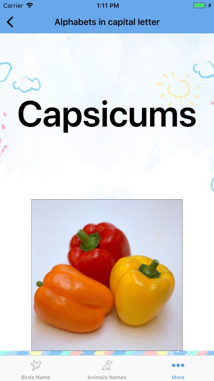 KidosLearning screenshot-4