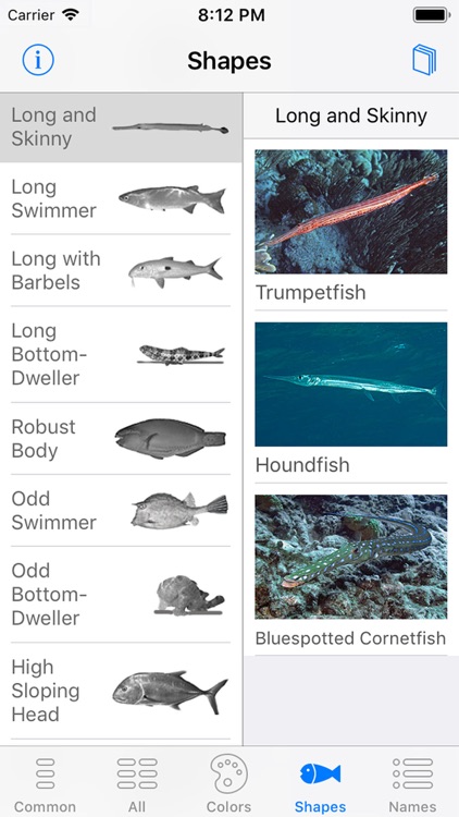 Easy Fish ID Caribbean screenshot-6