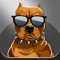 Pit Bull Dogs Emoji Stickers