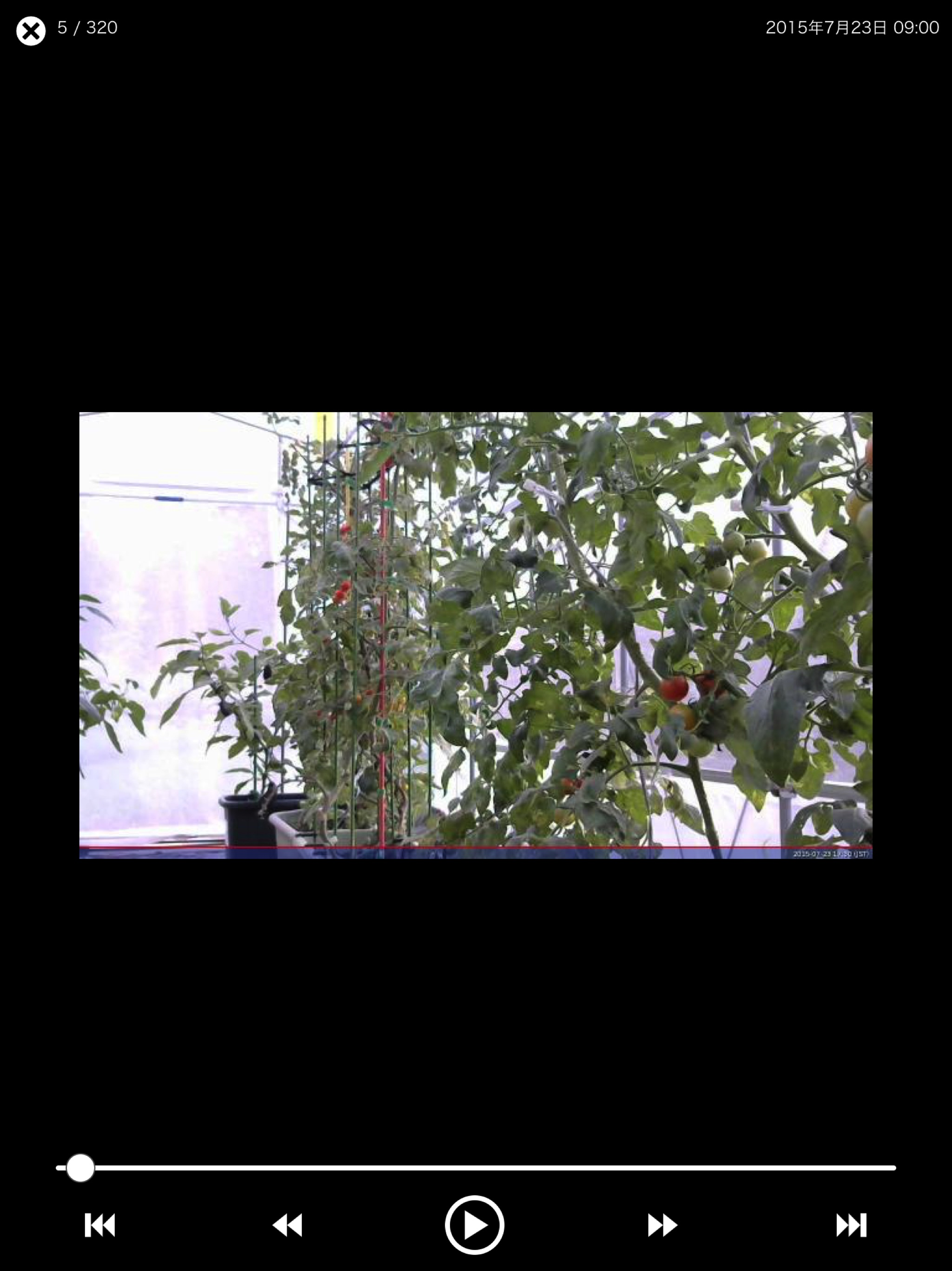 みどりモニタ