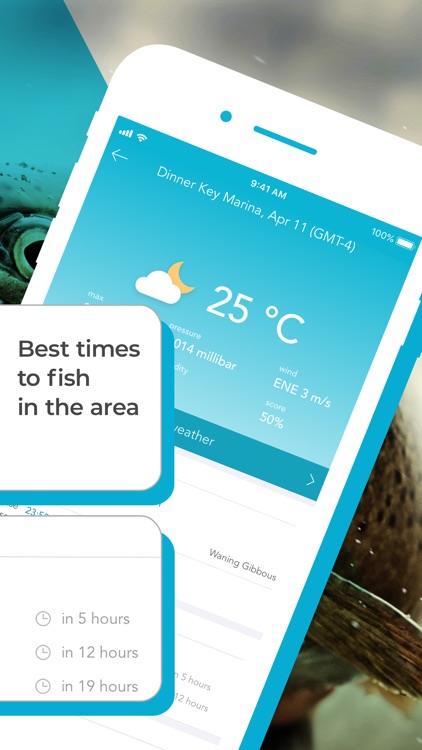 Fishing Forecast App: Fishbox
