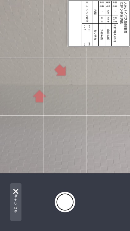 調査員ぷらす screenshot-4