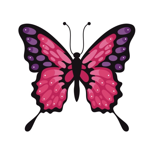 Gorgeous Butterflies