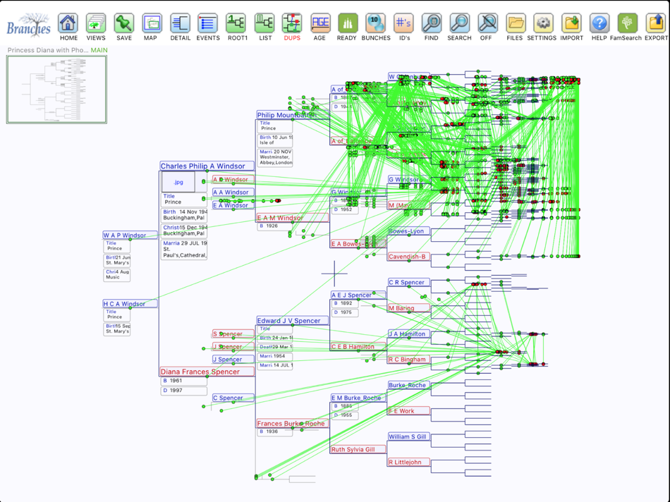 Branches Pro - 5.5 - (iOS)