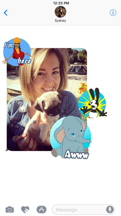 Disney Stickers: Decades