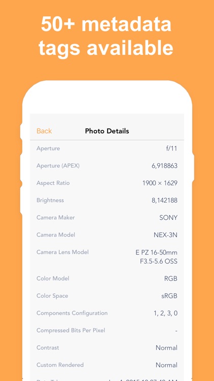 Exif Metadata