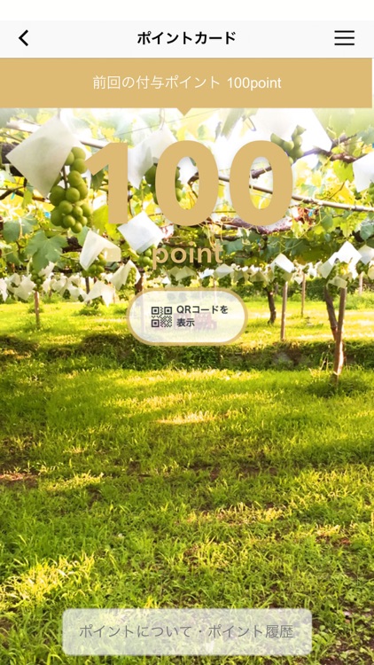 ほろ酔いカレッジ