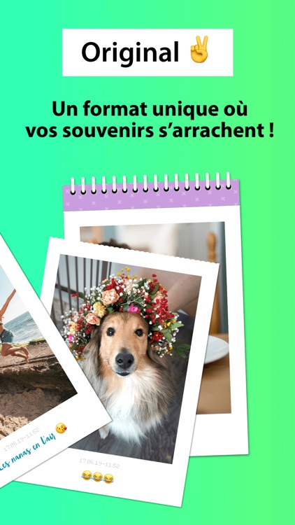 Bobook - Impression souvenirs