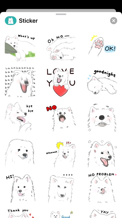 Samoyed - Sticker