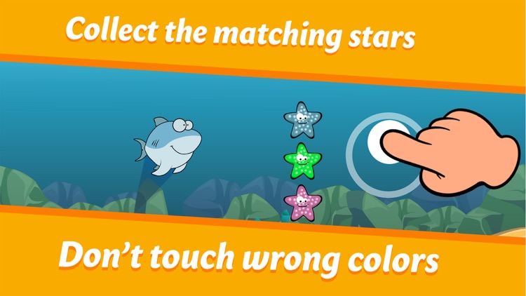 Color Shark : Ceylin-H