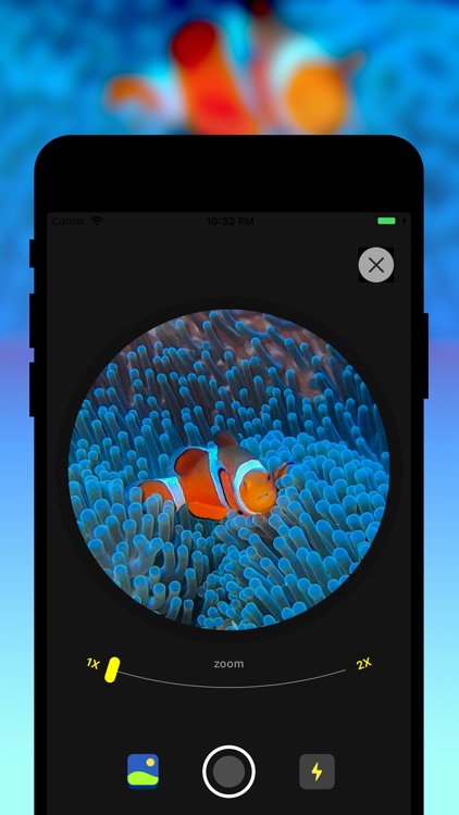 Fish Identifier